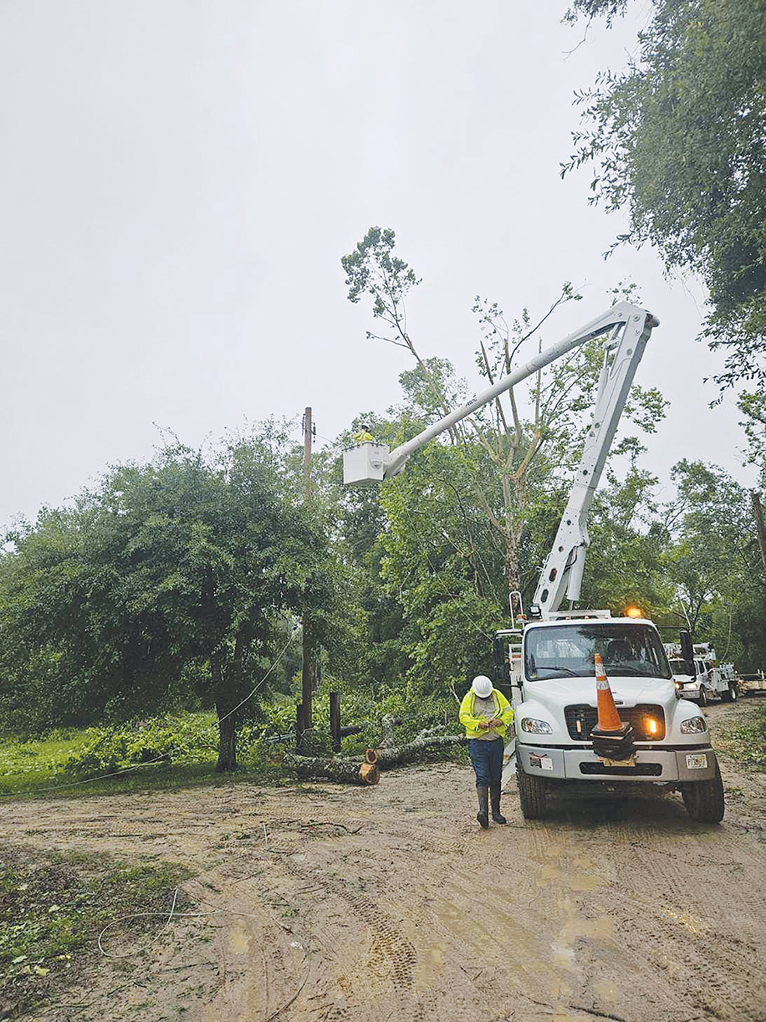 photo for How WFEC Restores Power After Major Outages